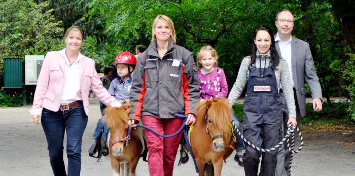 Oxea Ponys