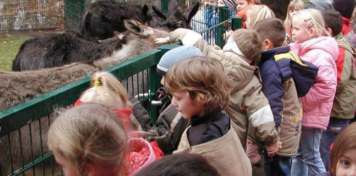 Kindergruppe