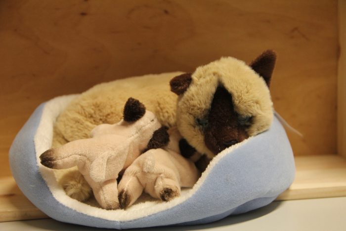 Katzenmama