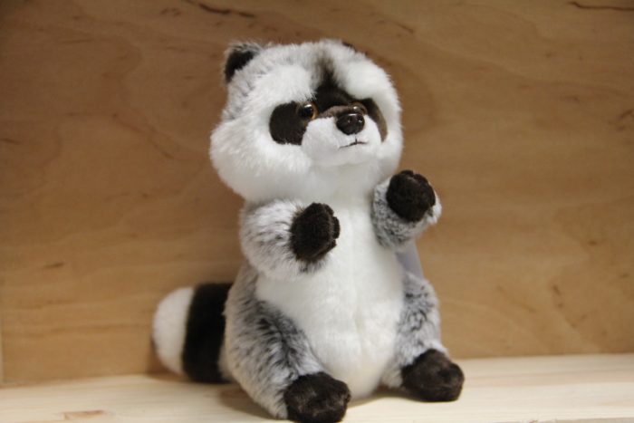 Waschbär