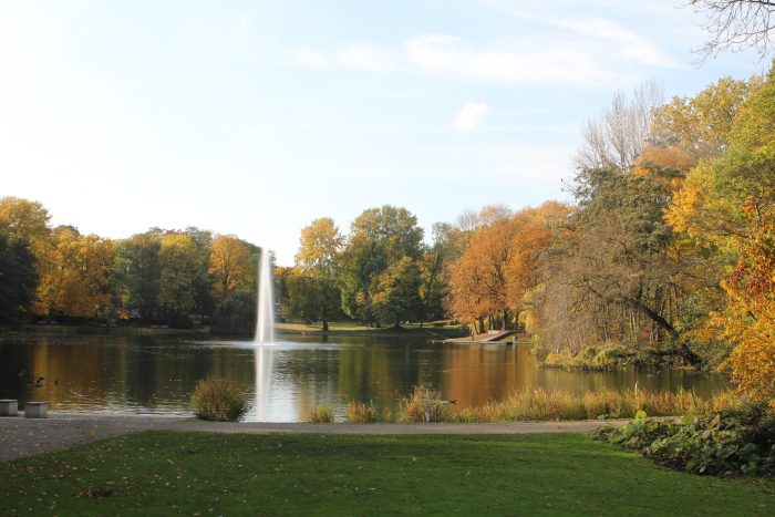 Herbst am Teich