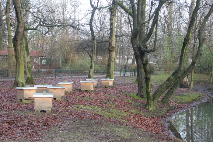 Bienenstand
