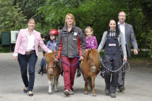 Oxea Ponys