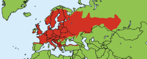 Verbreitungsgebiet der Rötelmaus