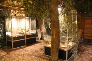 Dunkelhaus für heimische Nagetiere